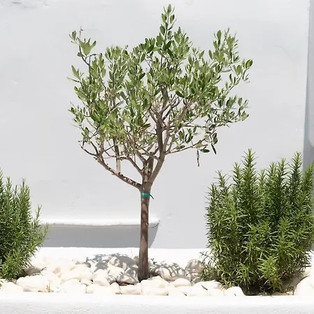 Swell S10 Maisonette With Private Jacuzzi In Apartment Naousa (Paros)