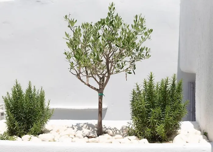 Swell S10 Maisonette With Private Jacuzzi In Apartman Náusza